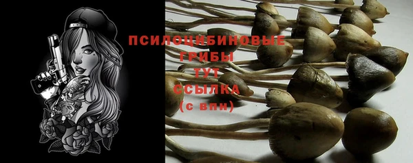 герыч Корсаков