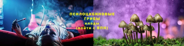 сатива Костерёво