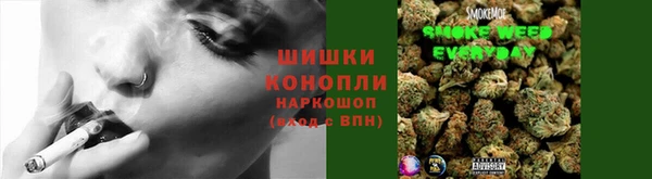 сатива Костерёво