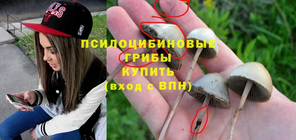 Альфа ПВП Краснослободск
