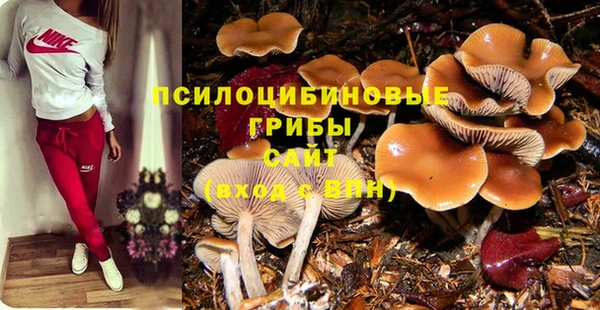 а пвп мука Коряжма