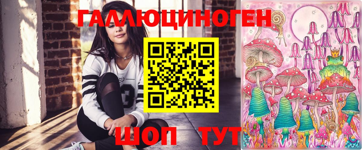 Псилоцибиновые грибы Psilocybe Мурино